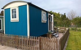 Shepherd Hut Bird Enniskillen, Fermanagh